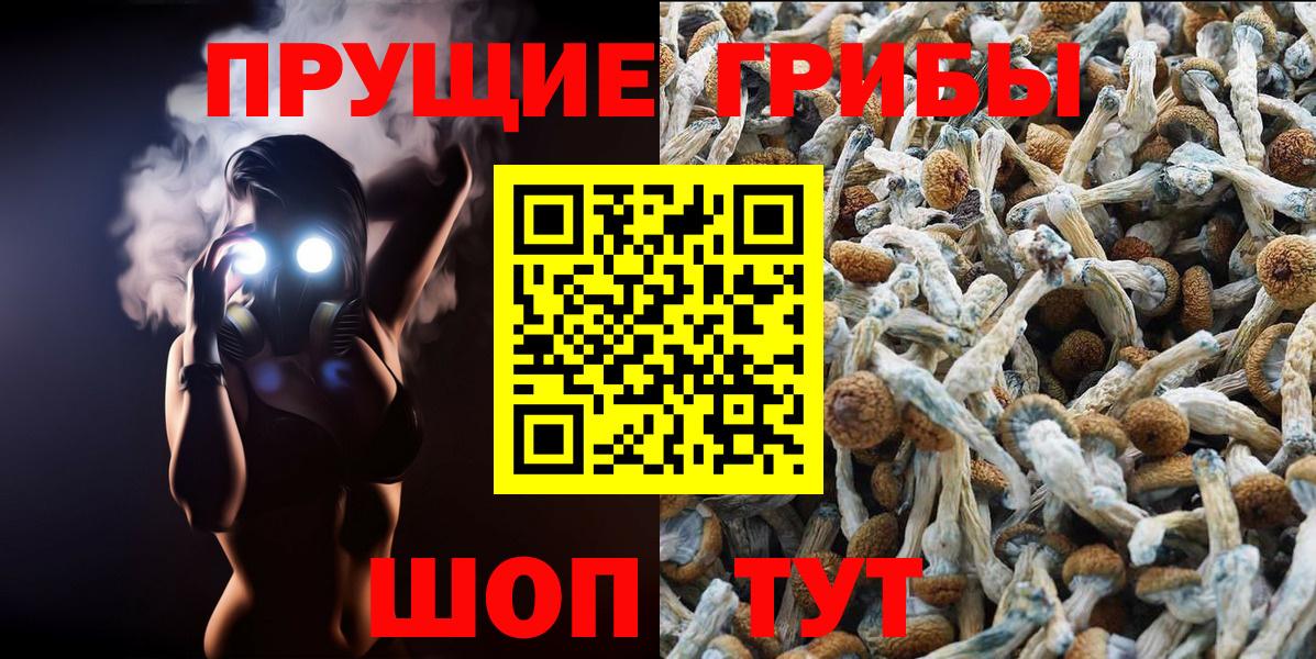 Галлюциногенные грибы прущие грибы Чернушка