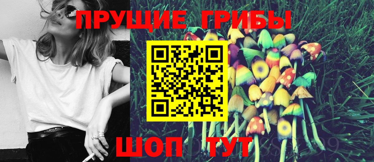 Чернушка  Галлюциногенные грибы Psilocybe  Вход с VPN  Галлюциногенные грибы MAGIC MUSHROOMS 